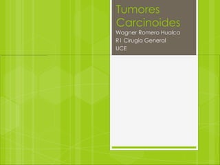 Tumores
Carcinoides
Wagner Romero Hualca
R1 Cirugía General
UCE
 