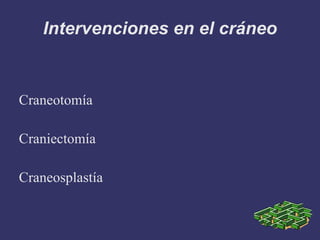 Intervenciones en el cráneo Craneotomía Craniectomía Craneosplastía 