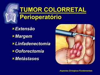 Ooforectomía Laparoscópica Care Guide Information En Espanol