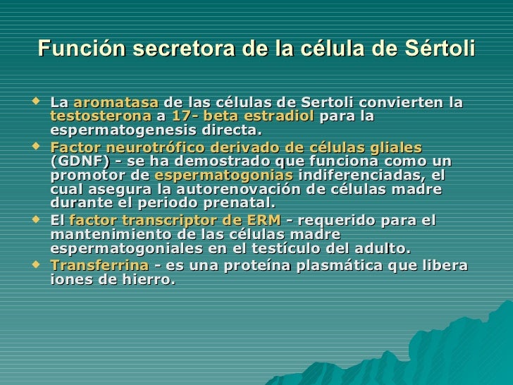 Tumor de células de Sértoli can RUFUS Tumor de células de Sértoli can RUFUS