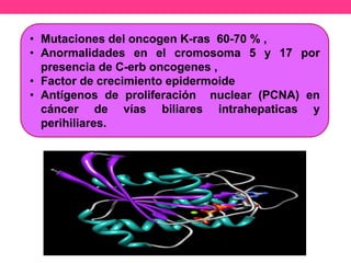 • Mutaciones del oncogen K-ras 60-70 % ,
• Anormalidades en el cromosoma 5 y 17 por
presencia de C-erb oncogenes ,
• Factor de crecimiento epidermoide
• Antígenos de proliferación nuclear (PCNA) en
cáncer de vías biliares intrahepaticas y
perihiliares.

 