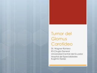 Tumor del
Glomus
Carotídeo
Dr. Wagner Romero
R3 Cirugia General
Universidad Central del Ecuador
Hospital de Especialidades
Eugenio Espejo
 