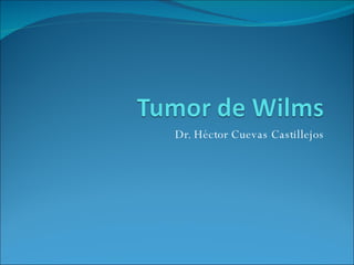 Dr. Héctor Cuevas Castillejos 