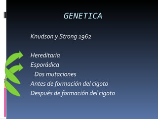 GENETICA

Knudson y Strong 1962

Hereditaria
Esporádica
 Dos mutaciones
Antes de formación del cigoto
Después de formación del cigoto
 