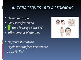 ALTERACIONES RELACIONADAS

 Hemihipertrofia
 60% sexo femenino
   1000 la riesgo para TW
 16% tumores bilaterales


 Nefroblastomatosis
    Tejido metanefrico persistente
    25-40% TW
 