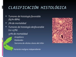 CLASIFICACIÓN HISTOLÓGICA
 Tumores de histología favorable
  (85%-88%)
 7% de mortalidad
 Tumores de histología desfavorable
  (12-15%)
  57% de mortalidad
       Anaplásico
       Rabdoides
       Sarcoma de células claras del riñón

      Variante maligna independiente
 
