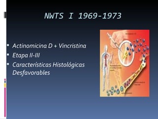 NWTS I 1969-1973


 Actinomicina D + Vincristina
 Etapa II-III
 Características Histológicas
  Desfavorables
 