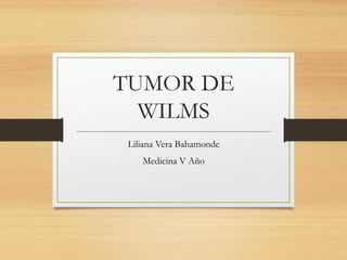 TUMOR DE
WILMS
Liliana Vera Bahamonde
Medicina V Año
 