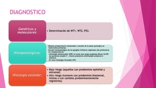 DIAGNOSTICO
• Determinación de WT1, WT2, P53.
Genéticos y
moleculares:
•Biopsia preoperatoria translumbar o estudio de la pieza quirúrgica en
resecciones primarias.
•Estudio histopatológico de los ganglios linfáticos regionales (de preferencia
sin neoadyuvancia)
•Histología desfavorable (HDF) al tumor que tenga anaplasia difusa; En10%
de pacientes estadio V , mismo pronóstico enfermedad unilateral o
bilateral.
•El resto histología favorable (HF).
Histopatológicos:
• Bajo riesgo (aquellos con predominio epitelial y
estromal)
• Alto riesgo (tumores con predominio blastemal,
mixtos o con cambios predominantemente
regresivos).
Histología estándar:
 