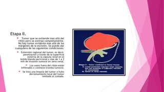 Etapa II.
 Tumor que se extiende mas allá del
riñón pero se extirpa completamente.
No hay tumor evidente mas allá de los
márgenes de la escisión. Se puede dar
cualquiera de las siguientes condiciones:
 Extensión regional del tumor, es decir,
penetración a través de la superficie
externa de la cápsula renal en el
tejido blando perirrenal o más de 1 a 2
mm de invasión tumoral en seno renal.
 Los vasos fuera del riñón están
infiltrados o contiene trombo tumoral.
 Se hizo una biopsia del tumor o hubo
derramamiento local del tumor
limitado al costado.
 