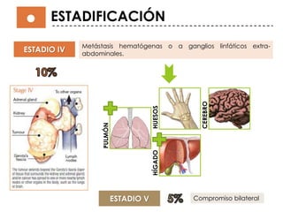ESTADIFICACIÓN
ESTADIO IV
Metástasis hematógenas o a ganglios linfáticos extra-
abdominales.
PULMÓN
HÍGADOHUESOS
CEREBRO
ESTADIO V Compromiso bilateral
 