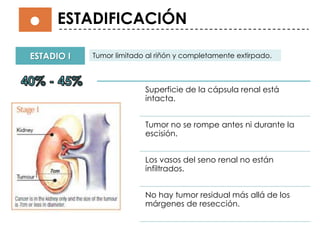ESTADIO I Tumor limitado al riñón y completamente extirpado.
Superficie de la cápsula renal está
intacta.
Tumor no se rompe antes ni durante la
escisión.
Los vasos del seno renal no están
infiltrados.
No hay tumor residual más allá de los
márgenes de resección.
ESTADIFICACIÓN
 