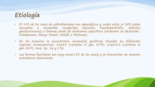 Etiología
• El 99% de los casos de nefroblastoma son esporádicos y, entre estos, el 10% están
asociados a anomalías congénitas (aniridia, hemihipertrofia, defectos
genitourinarios) o forman parte de síndromes específicos (síndrome de Beckwith-
Wiedemann, Denys-Drash, WAGR o Perlman).
• En los tumores se encontraron anomalías genéticas situadas en diferentes
regiones cromosómicas: 11p13 (contiene el gen WT1), 11p15.5 (contiene el
gen H19), 16q, 1p, 1q y 17p.
• Las formas familiares son muy raras (1% de los casos) y se transmiten de manera
autosómica dominante.
 