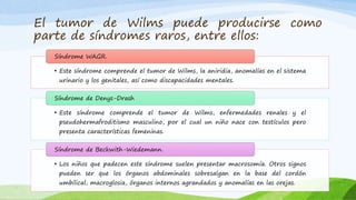 El tumor de Wilms puede producirse como
parte de síndromes raros, entre ellos:
• Este síndrome comprende el tumor de Wilms, la aniridia, anomalías en el sistema
urinario y los genitales, así como discapacidades mentales.
Síndrome WAGR.
• Este síndrome comprende el tumor de Wilms, enfermedades renales y el
pseudohermafroditismo masculino, por el cual un niño nace con testículos pero
presenta características femeninas.
Síndrome de Denys-Drash
• Los niños que padecen este síndrome suelen presentar macrosomía. Otros signos
pueden ser que los órganos abdominales sobresalgan en la base del cordón
umbilical, macroglosia, órganos internos agrandados y anomalías en las orejas.
Síndrome de Beckwith-Wiedemann.
 