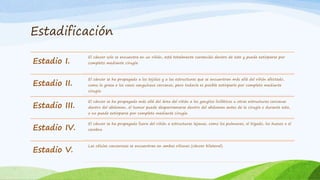 Estadificación
Estadio I.
El cáncer solo se encuentra en un riñón, está totalmente contenido dentro de este y puede extirparse por
completo mediante cirugía.
Estadio II.
El cáncer se ha propagado a los tejidos y a las estructuras que se encuentran más allá del riñón afectado,
como la grasa o los vasos sanguíneos cercanos, pero todavía es posible extirparlo por completo mediante
cirugía.
Estadio III.
El cáncer se ha propagado más allá del área del riñón a los ganglios linfáticos u otras estructuras cercanas
dentro del abdomen, el tumor puede desparramarse dentro del abdomen antes de la cirugía o durante esta,
o no puede extirparse por completo mediante cirugía.
Estadio IV.
El cáncer se ha propagado fuera del riñón a estructuras lejanas, como los pulmones, el hígado, los huesos o el
cerebro.
Estadio V.
Las células cancerosas se encuentran en ambos riñones (cáncer bilateral).
 