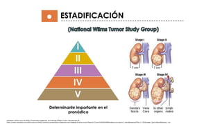 Tumor De Wilms | PDF