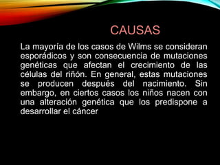 CAUSAS
La mayoría de los casos de Wilms se consideran
esporádicos y son consecuencia de mutaciones
genéticas que afectan el crecimiento de las
células del riñón. En general, estas mutaciones
se producen después del nacimiento. Sin
embargo, en ciertos casos los niños nacen con
una alteración genética que los predispone a
desarrollar el cáncer
 
