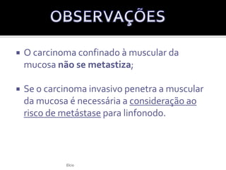 Os adenomas tubulares possuem menor atipia celular;