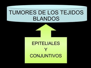 TUMORES DE LOS TEJIDOS BLANDOS EPITELIALES Y CONJUNTIVOS 