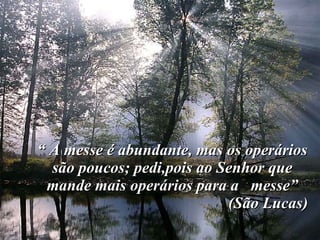 “  A messe é abundante, mas os operários são poucos; pedi,pois ao Senhor que mande mais operários para a  messe” (São Lucas) 