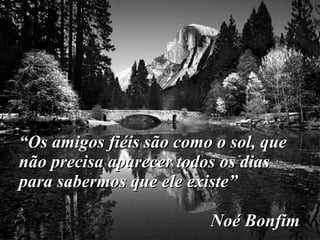 “ Os amigos fiéis são como o sol, que não precisa aparecer todos os dias para sabermos que ele existe” Noé Bonfim 