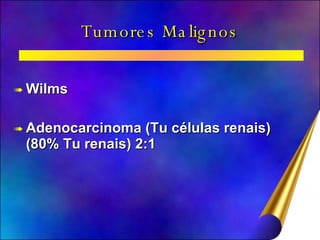 Tumores Malignos Wilms Adenocarcinoma (Tu células renais) (80% Tu renais) 2:1 