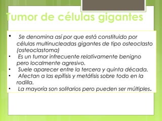 Tumor de células gigantes
• Se denomina así por que está constituido por
células multinucleadas gigantes de tipo osteoclasto
(osteoclastoma)
• Es un tumor infrecuente relativamente benigno
pero localmente agresivo.
• Suele aparecer entre la tercera y quinta década.
• Afectan a las epífisis y metáfisis sobre todo en la
rodilla.
• La mayoría son solitarios pero pueden ser múltiples.
 