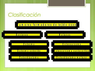 Clasificación
O s t e o m a
O s t e o m a o s t e o i d e
O s t e o b l a s t o m a
B e n i g n o s
O s t e o s a r c o m a
O s t e o s a r c o m a y u x t a c o r t i c a l
O s t e o b l a s t o m a m a l i g n o
M a l ig n o s
T u m o r e s f o r m a d o r e s d e t e jid o ó s e o
 
