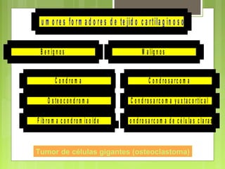 C o n d ro m a
O s te o c o n d ro m a
F ib ro m a c o n d ro m ix o id e
B e n ig n o s
C o n d ro s a rc o m a
C o n d ro s a rc o m a y u x ta c o rtic a l
C o n d ro s a rc o m a d e c é lu la s c la ra s
M a lig n o s
T u m o re s fo rm a d o re s d e te jid o c a rtila g in o s o
Tumor de células gigantes (osteoclastoma)
 
