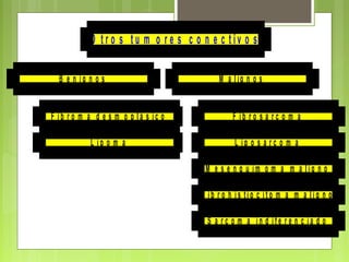F i b r o m a d e s m o p l á s i c o
L i p o m a
B e n i g n o s
F i b r o s a r c o m a
L i p o s a r c o m a
M e s e n q u i m o m a m a l i g n o
F i b r o h i s ti o c i t o m a m a l i g n o
S a r c o m a i n d i f e r e n c i a d o
M a l ig n o s
O t r o s t u m o r e s c o n e c t iv o s
 