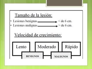 3.-Radiología
 La Radiología es más específica que la
clínica pero casi nunca es definitiva, ya
que requiere confirmación histológica.
 