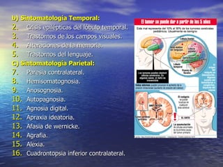 b)   Sintomatología Temporal: Crisis epilépticas del lóbulo temporal. Trastornos de los campos visuales. Alteraciones de la memoria. Trastornos del lenguaje. C) Sintomatología Parietal: Paresia contralateral. Hemisomatognosia. Anosognosia. Autopagnosia. Agnosia digital. Apraxia ideatoria. Afasia de wernicke. Agrafia. Alexia. Cuadrontopsia inferior contralateral. 