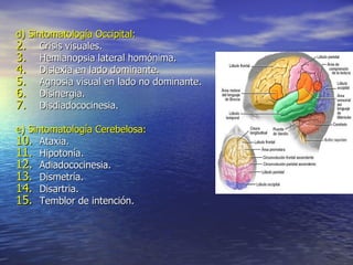 d) Sintomatología Occipital: Crisis visuales. Hemianopsia lateral homónima. Dislexia en lado dominante. Agnosia visual en lado no dominante. Disinergia. Disdiadococinesia. e) Sintomatología Cerebelosa: Ataxia. Hipotonía. Adiadococinesia. Dismetría. Disartria. Temblor de intención. 