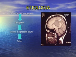 ETIOLOGIA Alteración de Proto-oncogenes Oncogenes Inducen a replicación celular Tumor 