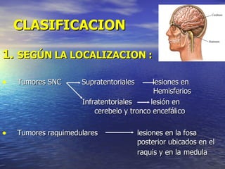 CLASIFICACION SEGÚN LA LOCALIZACION : Tumores SNC  Supratentoriales  lesiones en    Hemisferios  Infratentoriales   lesión en   cerebelo y tronco encefálico Tumores raquimedulares  lesiones en la fosa  posterior ubicados en el  raquis y en la   medula 