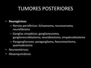 TUMORES POSTERIORES
• Neurogénicos:
– Nervios perisféricos: Schwanoma, neurosarcoma,
neurofibroma
– Ganglios simpáticos: ganglioneuroma,
ganglioneuroblastoma, neuroblastoma, simpaticoblastoma
– Paraganglionares: paraganglioma, feocromocitoma,
quemodectoma
• Neuroentéricos:
• Mesenquimáticos
 