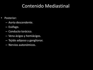 Contenido Mediastinal
• Posterior:
– Aorta descendente.
– Esófago.
– Conducto torácico.
– Vena ácigos y hemiácigos.
– Tejido adiposo y ganglionar.
– Nervios autonómicos.
 