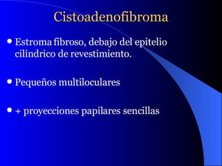 Cistoadenofibroma Estroma fibroso, debajo del epitelio cilíndrico de revestimiento. Pequeños multiloculares  + proyecciones papilares sencillas 