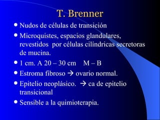 T. Brenner Nudos de células de transición Microquistes, espacios glandulares, revestidos  por células cilíndricas secretoras de mucina. 1 cm. A 20 – 30 cm  M – B Estroma fibroso    ovario normal. Epitelio neoplásico.    ca de epitelio transicional  Sensible a la quimioterapia. 