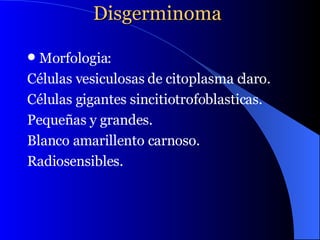 Disgerminoma   Morfologia: Células vesiculosas de citoplasma claro. Células gigantes sincitiotrofoblasticas. Pequeñas y grandes. Blanco amarillento carnoso. Radiosensibles.  