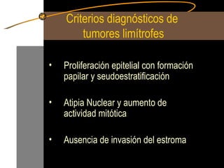 Criterios diagnósticos de  tumores limítrofes Proliferación epitelial con formación papilar y seudoestratificación Atipia Nuclear y aumento de actividad mitótica Ausencia de invasión del estroma 