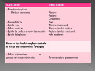 TEJIDO ORIGEN                                      TUMOR BENIGNO
o Revestimiento epitelial
     Glándulas o conductos                         Adenoma
                                                   Papiloma
                                                   Cistadenoma
o Neuroectodermo                                   Nevo
o Epitelio renal                                   Adenoma tubular renal
o Células hepáticas                                Adenoma de célula hepática
o Epitelio del conducto urinario( de transición)   Papiloma de célula transicional
o Epitelio de la placenta                          Mola hidatiforme


Mas de un tipo de célula neoplasica derivada
de mas de una capa germinal: Teratogeno

o Células totipotenciales               en
gónadas o en restos embrionarios                   Teratoma maduro, quiste dermoide
 