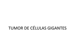 TUMOR DE CÉLULAS GIGANTES
 