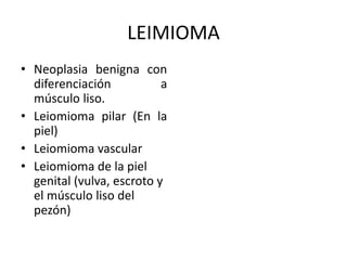 LEIMIOMA
• Neoplasia benigna con
diferenciación a
músculo liso.
• Leiomioma pilar (En la
piel)
• Leiomioma vascular
• Leiomioma de la piel
genital (vulva, escroto y
el músculo liso del
pezón)
 