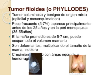 Tumor filoides (o PHYLLODES)
 Tumor columinoso y benigno de origen mixto
(epitelial y mesenquimatoso)
 Poco frecuente (5-7%), aparece principalmente
antes de los 25 años y en la peri menopausia
(35-55años)
 El tamaño promedio es de 5-7 cm, puede
ocupar todo el volumen mamario
 Son deformantes, multiplicando el tamaño de la
mama, indoloro
 Crecimiento rápido con áreas necrosis y
hemorragia central
 