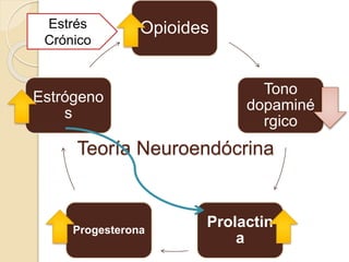 Opioides
Tono
dopaminé
rgico
Prolactin
a
Progesterona
Estrógeno
s
Teoría Neuroendócrina
Estrés
Crónico
 