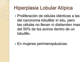 Hiperplasia Lobular Atípica
 Proliferación de células idénticas a las
del carcinoma lobulillar in situ, pero
las células no llenan ni distienden mas
del 50% de los acinos dentro de un
lobulillo.
 En mujeres perimenopáusicas.
 