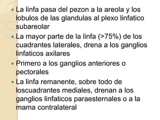  La linfa pasa del pezon a la areola y los
lobulos de las glandulas al plexo linfatico
subareolar
 La mayor parte de la linfa (>75%) de los
cuadrantes laterales, drena a los ganglios
linfaticos axilares
 Primero a los ganglios anteriores o
pectorales
 La linfa remanente, sobre todo de
loscuadrantes mediales, drenan a los
ganglios linfaticos paraesternales o a la
mama contralateral
 