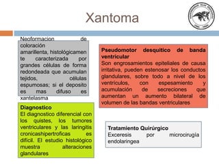 Xantoma
Neoformacion de
coloración
amarillenta, histológicamen
te caracterizada por
grandes células de forma
redondeada que acumulan
tejidos, células
espumosas; si el deposito
es mas difuso es
xantelasma
Pseudomotor desquitico de banda
ventricular
Son engrosamientos epiteliales de causa
irritativa, pueden estenosar los conductos
glandulares, sobre todo a nivel de los
ventrículos, con espesamiento y
acumulación de secreciones que
aumentan un aumento bilateral de
volumen de las bandas ventriculares
Diagnostico
El diagnostico diferencial con
los quistes, los tumores
ventriculares y las laringitis
cronicashipertroficas es
difícil. El estudio histológico
muestra alteraciones
glandulares
Tratamiento Quirúrgico
Exceresis por microcirugía
endolaringea
 