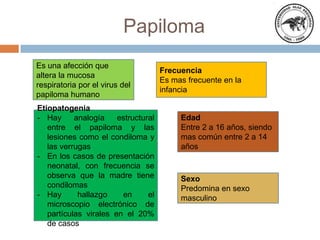 Papiloma
Es una afección que
altera la mucosa
respiratoria por el virus del
papiloma humano
Frecuencia
Es mas frecuente en la
infancia
Sexo
Predomina en sexo
masculino
Edad
Entre 2 a 16 años, siendo
mas común entre 2 a 14
años
Etiopatogenia
- Hay analogía estructural
entre el papiloma y las
lesiones como el condiloma y
las verrugas
- En los casos de presentación
neonatal, con frecuencia se
observa que la madre tiene
condilomas
- Hay hallazgo en el
microscopio electrónico de
partículas virales en el 20%
de casos
 